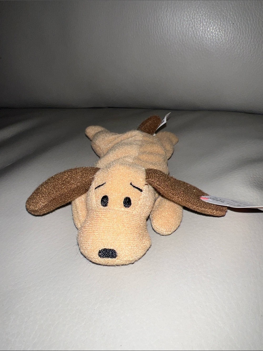 Bones the Dog Teenie Beanie Baby Plush
